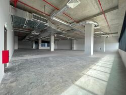 Compassvale Cape (D19), Factory #464412801